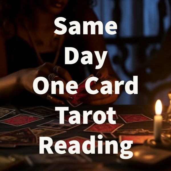 Same Day One Card Tarot Reading Oracle Tania