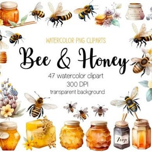 Watercolor Bee and Honey Clipart, Bees and Flowers Clipart, PNG Images, Transparent Background, Instant Download for Commercial Use