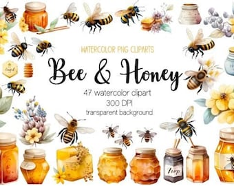 Watercolor Bee and Honey Clipart, Bees and Flowers Clipart, PNG Images, Transparent Background, Instant Download for Commercial Use