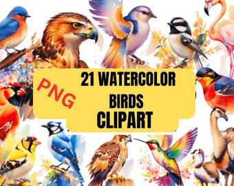 21 Watercolor Birds Clipart, Bird Clipart, Cute Birds, Spring Birds Clipart, Bird png, Bird Clip Art, Cute Bird Clipart, Instant Download