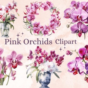 33 PNG Watercolor Pink Orchid Clipart, Orchid Clipart, Pink Orchid, Orchid Flower, Orchid Watercolor, Instant Download for Commercial Use