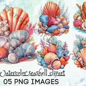 Clipart de coquillage aquarelle, coquillages colorés, océan mer Clipart, Clipart plage d’été, aquarelle Clipart Bundle, téléchargement immédiat