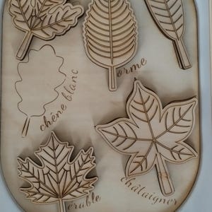 Peut inclure: Un panneau en bois avec des découpes de différentes formes de feuilles. Chaque feuille est étiquetée avec le nom de l'arbre dont elle provient en français : chêne blanc, orme, hêtre, érable, châtaigner.