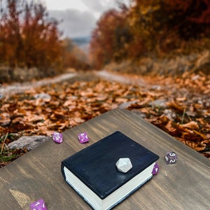 Book Effect Dice Box And Roll Tray | DND | D&D | Dungeons and Dragons | Tabletop Gaming | D20 | Geek Gift | Dice Vault