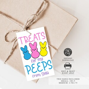 Sweet Treats for My Favorite Peeps, Printable Easter Peeps Tag, Easter Basket Tags, Treats for My Peeps, Easter Classroom Favors