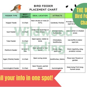 How to Feed Backyard Birds: Simple Tips for a Thriving Garden