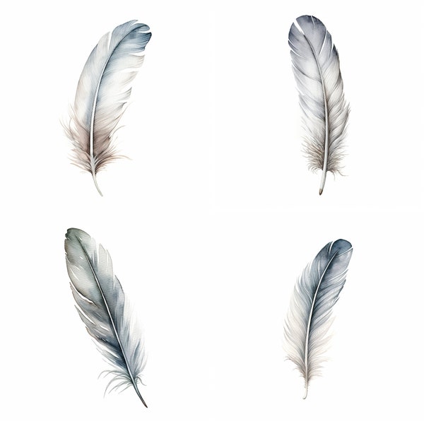 Watercolor Minimalistic Feather, Set Of 4, Animals, Digital Clipart, Digital Downloads, Nature, PNG, Nursery Art