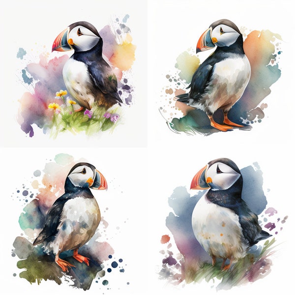 Watercolor Puffin, Bird Sublimation, Set Of 4, Digital Download, Clipart, PNG Download, Wall Art Decoration