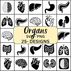 May include: A grid of black and white illustrations of human organs, including the brain, heart, lungs, liver, stomach, pancreas, and kidneys. The image includes the text "Organs SVG-PNG 25-DESIGNS".