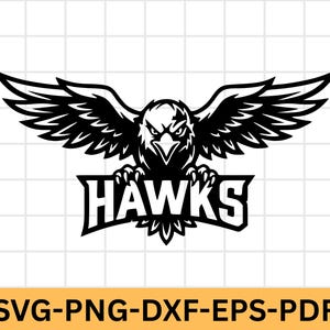 May include: A black and white graphic illustration of a hawk with wings spread wide, positioned above the text HAWKS in a bold, block font. The design features sharp, angular lines and high contrast, suitable for a sports team logo.