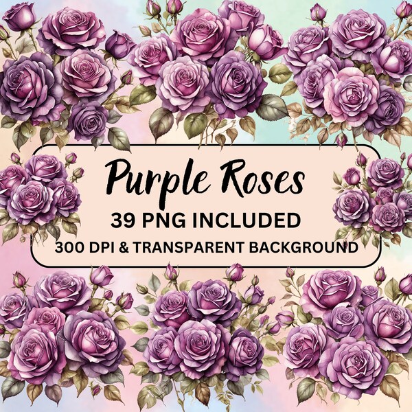 Purple Roses Clipart, Purple Rose Clipart, Rose Clipart, Purple rose Png, Purple Rose bouquet, Rose Png,  Purple Rose illustration,Roses png