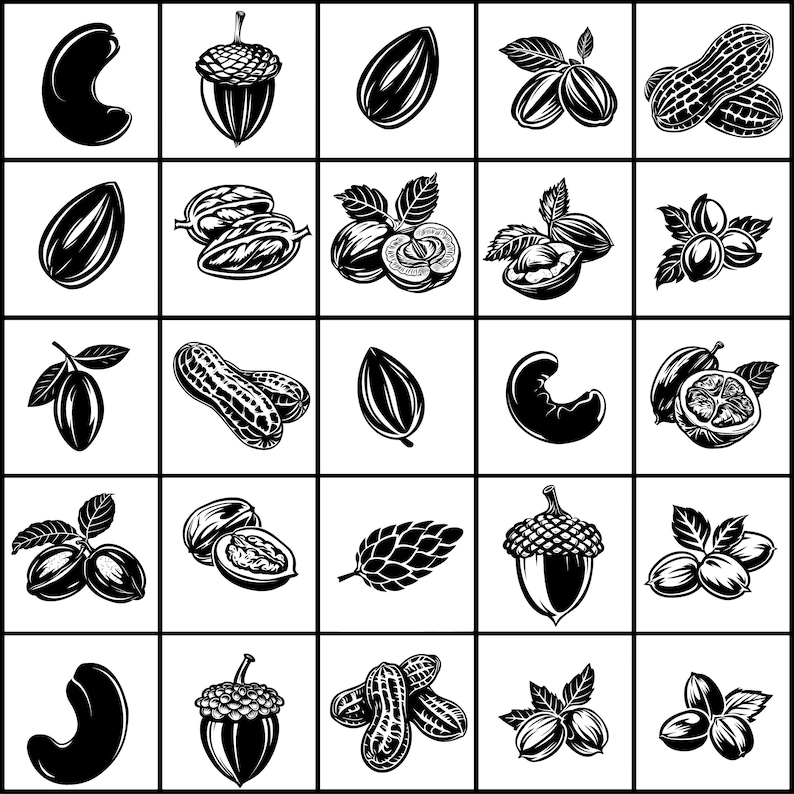 Nuts Svg, Nut Svg, Nuts Svg Bundle, Walnut Svg, Peanut Svg, Almond Svg ...