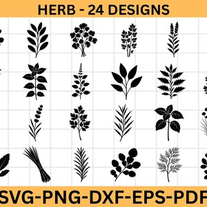 May include: Black and white illustrations of 24 herb designs. The image includes various plant silhouettes, such as leaves, sprigs, and bundles. Text at the top reads "HERB - 24 DESIGNS". The bottom text reads "SVG-PNG-DXF-EPS-PDF".