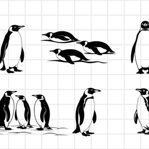 Penguin svg, Penguin svg bundle, penguin silhouette, Penguin cut file, Penguin Png, Penguin laser cut, Penguin vector, Penguin svg eps dxf