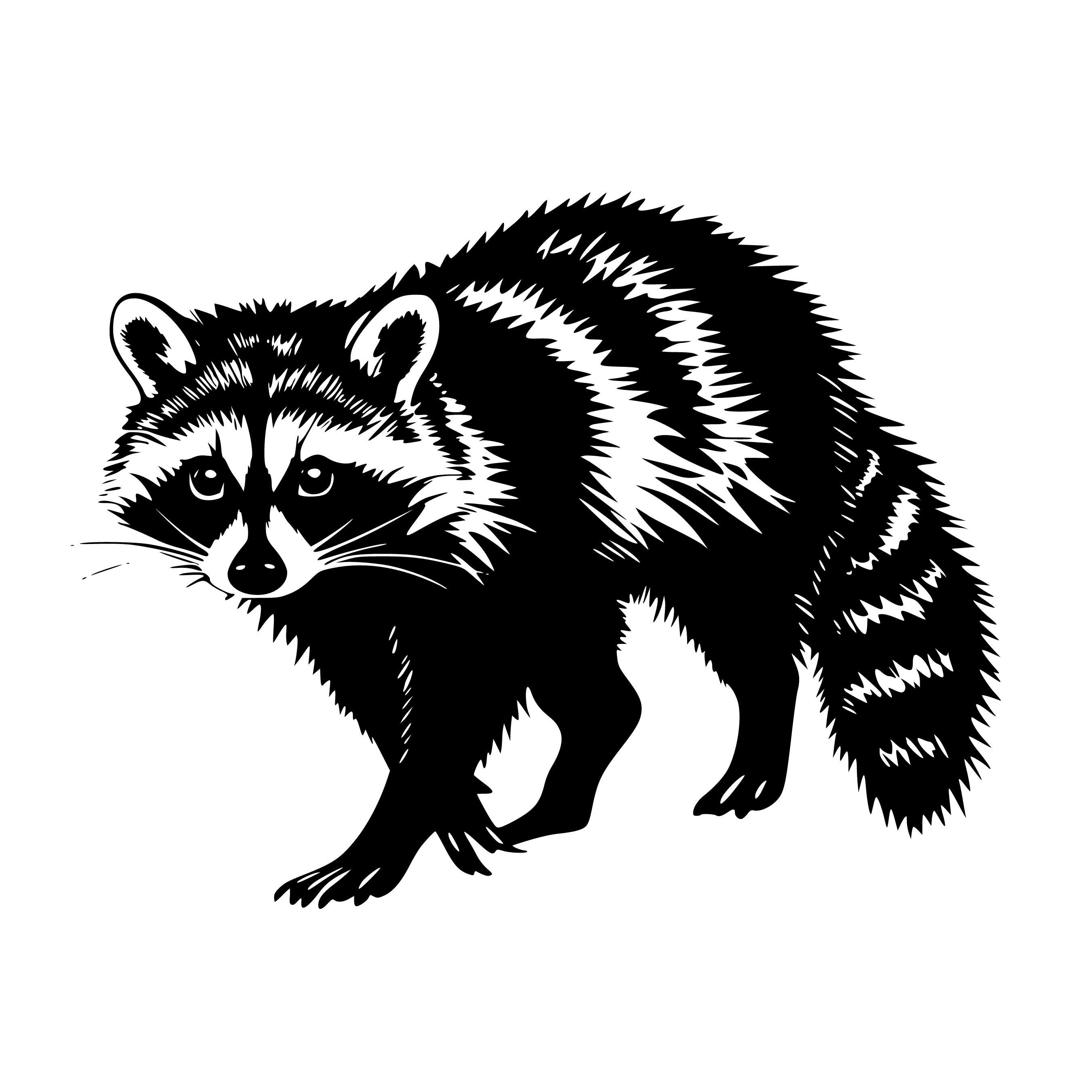 Raccoon Svg, Racoon Svg, Raccoon Svg Bundle, Raccoon Silhouette ...
