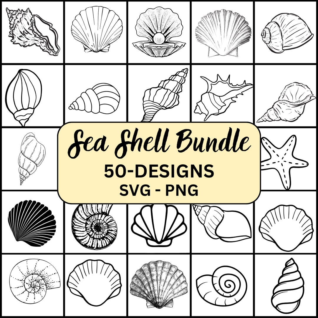Seashell Svg, Seashells Svg, Seashell Svg Bundle, Seashell Clipart ...
