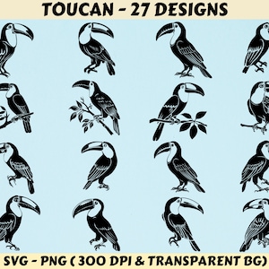 Toucan Svg, toucan Bird svg, Toucan Svg Bundle, Toucan svg file, Toucan Silhouette, Bird svg, Toucan Cricut, Toucan cut file, Toucan png