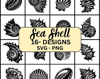 Seashell Svg, Seashells Svg, Seashell Svg Bundle, Seashell clipart, Seashell Cut Files, Seashell png, Seashell Vector, Seashell cricut