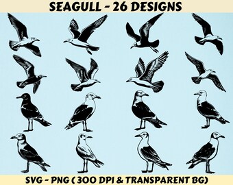 Seagull Svg, Seagull Svg Bundle, Seagull Svg file, Seagull Silhouette, Seagull Cricut, Seagull Cut files, Seagull Png, Seagull Vector