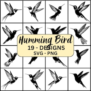 Colibrí SVG, paquete de colibríes SVG, colibríes SVG, colibrí Cricut, colibrí Cricut, vector de colibrí, clipart de colibrí