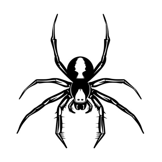 Spider Svg, Spiders Svg, Spider Silhouette, Spider Svg