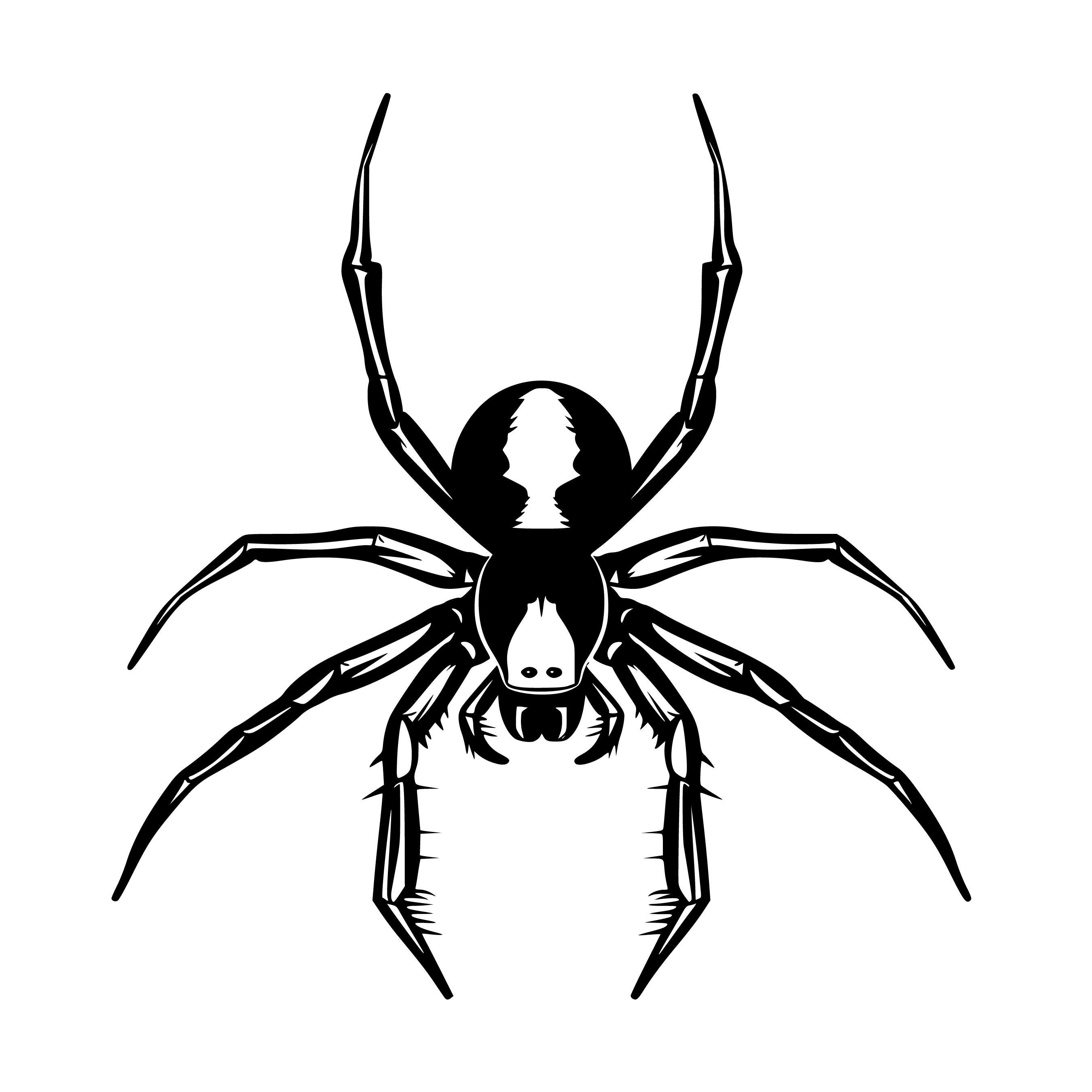 洋書 SPYDERS & SILHOUETTES Spider Svg, Spiders Svg, Spider Silhouette, Spider Svg