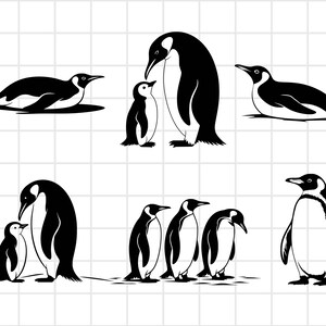 Penguin svg, Penguin svg bundle, penguin silhouette, Penguin cut file, Penguin Png, Penguin laser cut, Penguin vector, Penguin svg eps dxf