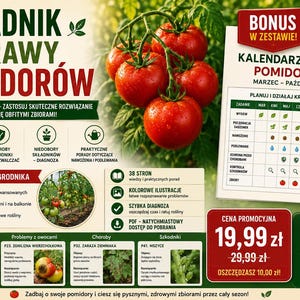 Könnte beinhalten: Ein digitaler Ratgeber mit dem Titel Poradnik Uprawy Pomidorów, der einen Tomatenanbaukalender, Diagnose-Tabellen für Pflanzenkrankheiten und Schädlingsbestimmung enthält. Das Dokument umfasst farbige Illustrationen, ein 38-seitiges Layout und einen Schritt-für-Schritt-Pflanzplan von März bis Oktober für Gärtner.