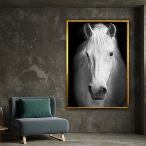 White Horses Canvas, Stallion Art, Horse Wall Art, Animal Art, Nature Canvas, Horse Print, Wall Art Canvas Design, Ready To Hang Decoration