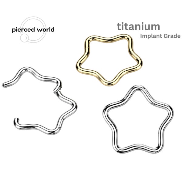 Titan Segment Ring, Stern Design mit Klappverschluss, 16GA, 18GA, Septum Ring, Knorpel Piercing, Ohr Lobe Piercing, Ohrring.