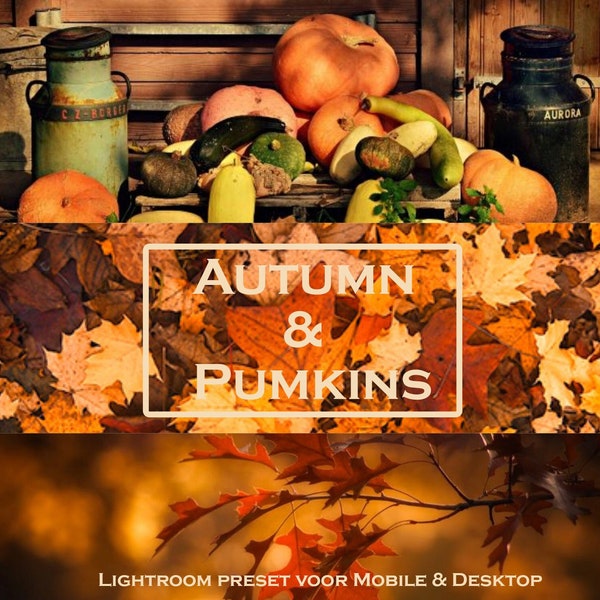 7 Autumn, Herfst Lightroom Preset, Mobile & Desktop, Winter, Fall, Spring, Cozy, Moody, Pumkins, Leaves, Pompoen, Bladeren, Gezelligheid