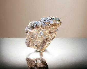 Cerussite and blue iridescent Galena with blue-gray bladed Barite and cubic violet Fluorite crystals clustered on a mineralized fossil