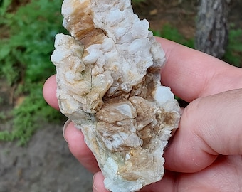 Barite, Strontianite, Siderite, Quartz and Pyrite Crystalized Ostrea fossil display rock. UV fluorescent and phosphorescent from Colorado.