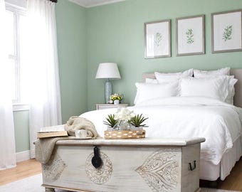 Hand-Carved Mango Wood Storage Trunk: Whitewash Finish