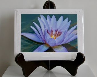 Water Lily Photo Card 3