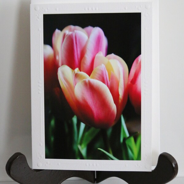 Colorful Tulips Photo Card 1