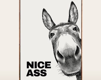 Donkey Nice Ass Bathroom Poster, Bathroom Funny Decor, Restroom Accessories, Funny Toilet Print, Bathroom Wall Decor, Home Decor PRINT024