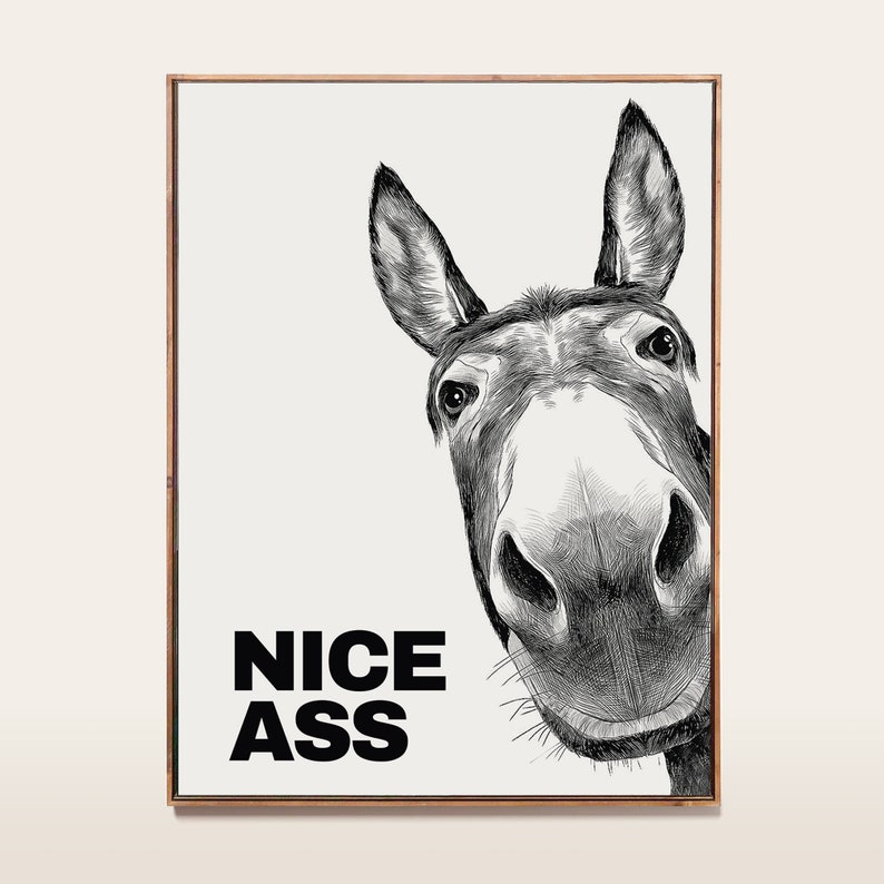 Donkey Nice Ass Bathroom Poster, Bathroom Funny Decor, Restroom Accessories, Funny Toilet Print, Bathroom Wall Decor, Home Decor PRINT024 image 1