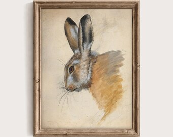 Beige Rabbit Sketch Antique Natural History Printable Wall Art PTS075