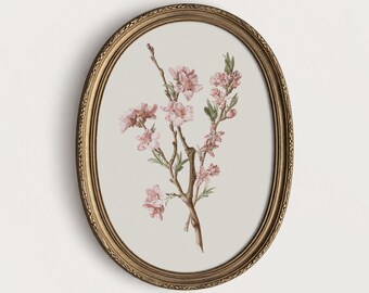 Cherry Blossom Branch Print Vintage Pink Floral Illustration Soft Spring Printable Wall Art Bedroom Decor PTS038
