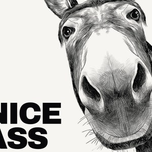 Donkey Nice Ass Bathroom Poster, Bathroom Funny Decor, Restroom Accessories, Funny Toilet Print, Bathroom Wall Decor, Home Decor PRINT024 image 2