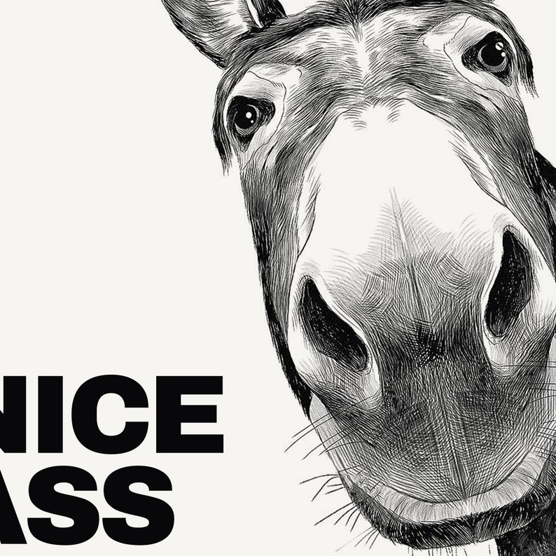 Donkey Nice Ass Bathroom Poster, Bathroom Funny Decor, Restroom Accessories, Funny Toilet Print, Bathroom Wall Decor, Home Decor PRINT024 image 2