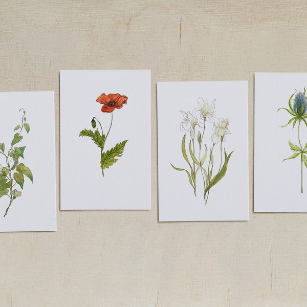 Set mit 4 Botanischen Postkarten | Botanische Illustration handgemaltes Motiv | Blume Postkarte Wasserfarbe Geschenkkarte | Geschenk für Sie