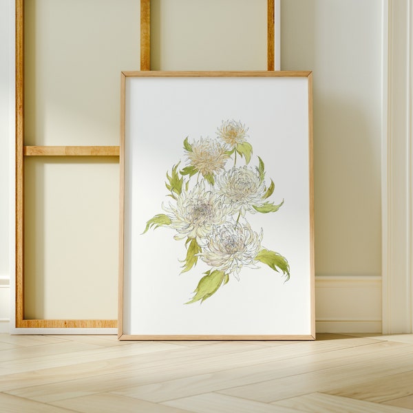 Botanischer Kunstdruck "Chrysanthemen" DIN A4 Bild mit Blüten・Aquarellbilder Blumen・Kunstdruck Poster Aquarell・Pflanzen Bilder・Helle Bilder