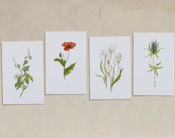 Set mit 4 Botanischen Postkarten | Botanische Illustration handgemaltes Motiv | Blume Postkarte Wasserfarbe Geschenkkarte | Geschenk für Sie