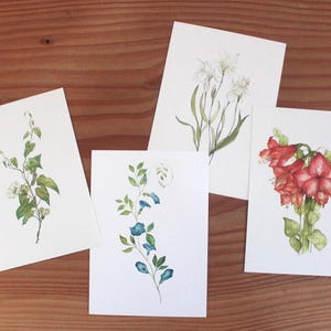 Conjunto de arte en miniatura・4 impresiones de flores tamaño postal・Ilustración de arte botánico・Tarjeta de cumpleaños con flores・Regalo femenino para ella・Estética botánica