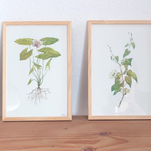 Art Set of 2 Prints Botany Collection・Boho Art Print set 2 print bundle Greenery Paintings・Botanical Art  Greenery Set・Wall Decor Prints Set