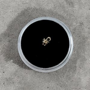 Solid 18k Gold Scorpion Tooth Gem Charm