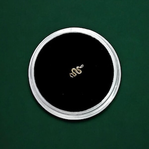 Solid 18k Gold Snake Tooth Gem Charm