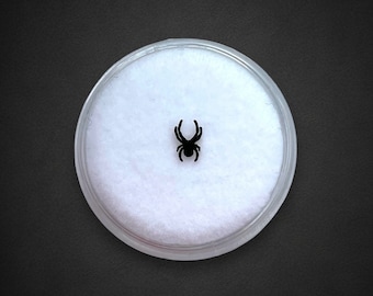 Black Spider Tooth Gem